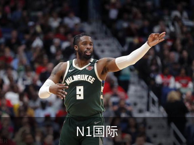 N1国际介绍